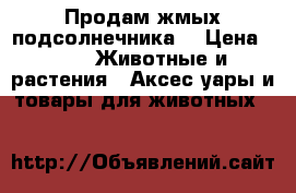 Продам жмых подсолнечника. › Цена ­ 6 -  Животные и растения » Аксесcуары и товары для животных   